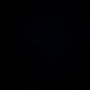 Meet your Posher, Shawn